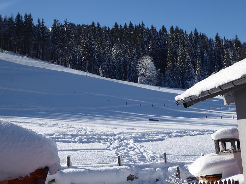 Apartament Birnhornblick Leogang Zewnętrze zdjęcie