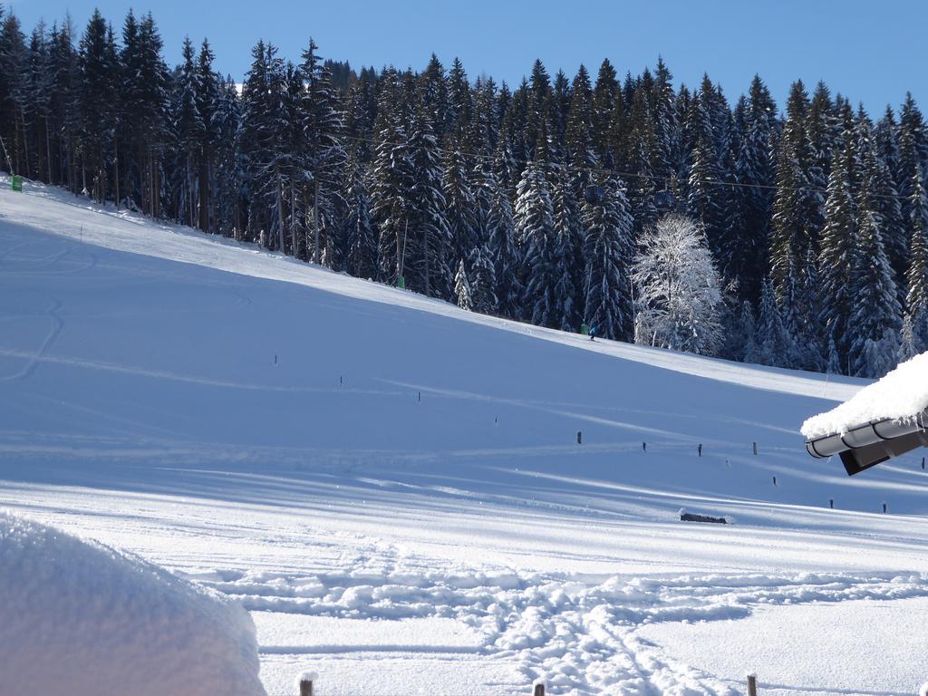 Apartament Birnhornblick Leogang Zewnętrze zdjęcie